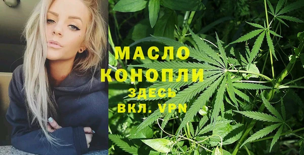 гидропоника Елабуга