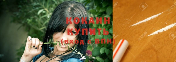 амф Елизово