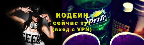 амф Елизово
