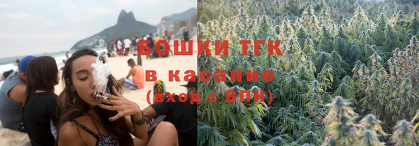 гидропоника Елабуга