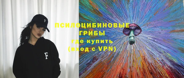 амф Елизово