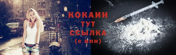 гидропоника Елабуга