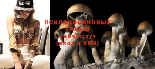 гидропоника Елабуга