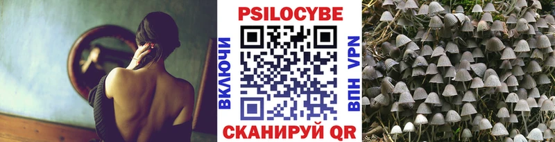 Купить  Канаш  Псилоцибиновые грибы Magic Shrooms 