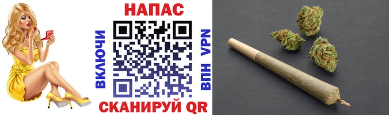 Купить  Канаш  Бошки Шишки VHQ 
